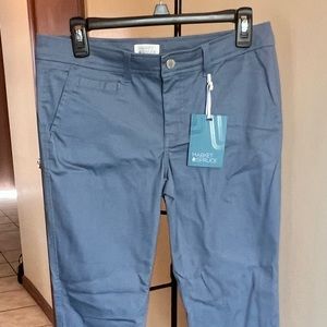 NWT; 41 Hawthorn Market & Spruce Rosabel Skinny Pants; Light Blue; Size 8